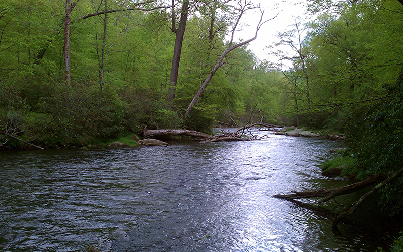 A river in Maryland