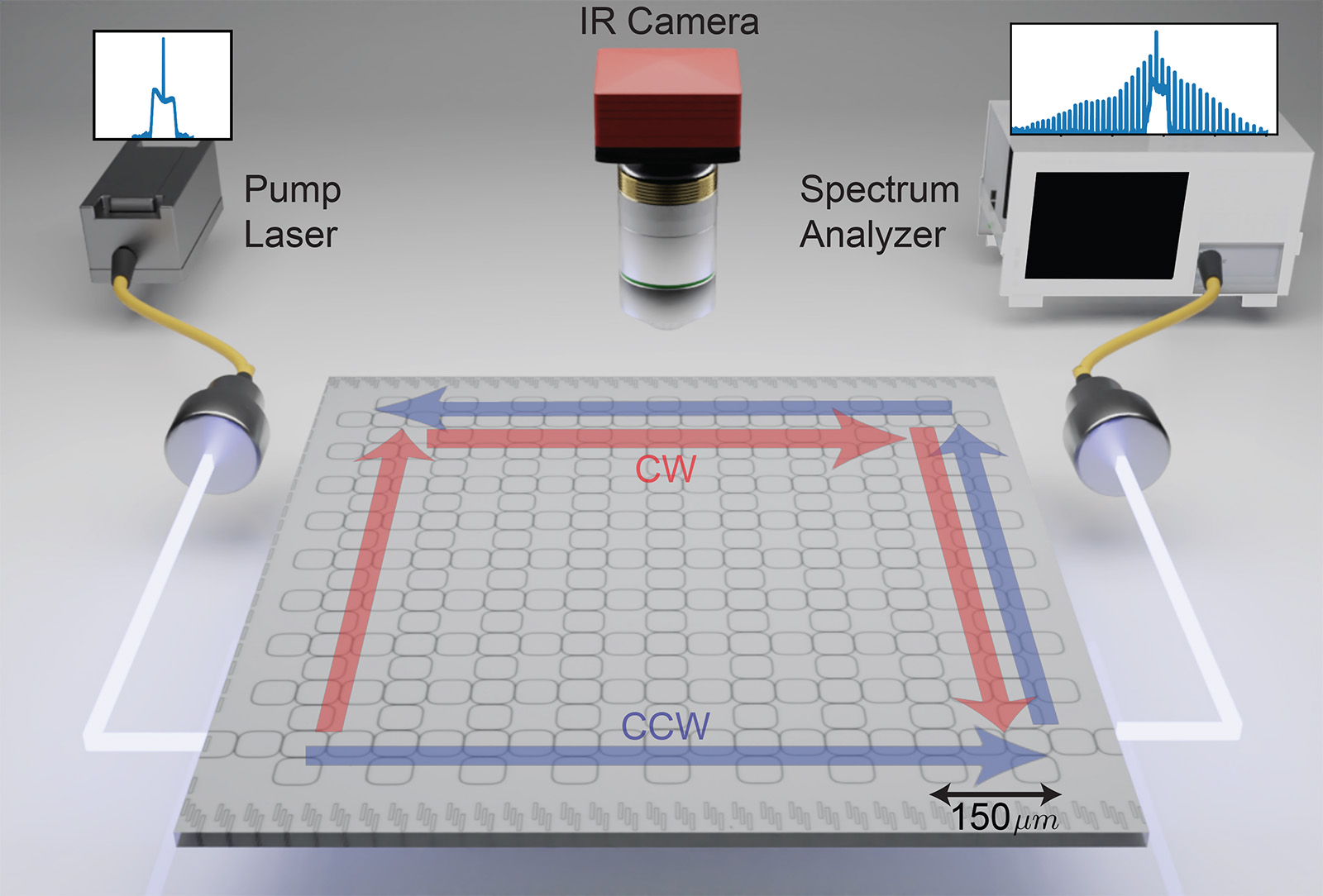 A schematic of the new experiment. Incoming pulsed laser light (the pump laser) enters a chip that hosts hundreds of microrings. Researchers used an IR camera above the chip to capture images of light circulating around the edge of the chip, and they used a spectrum analyzer to detect a nested frequency comb in the circulating light.