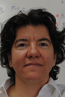 headshot of Professor and Department Chair Sennur Ulukus