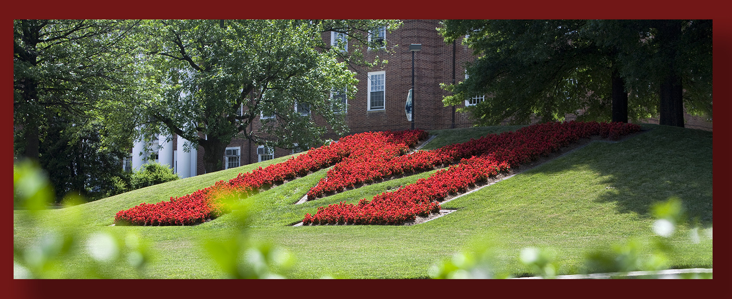 UMD red M on the traffic circle