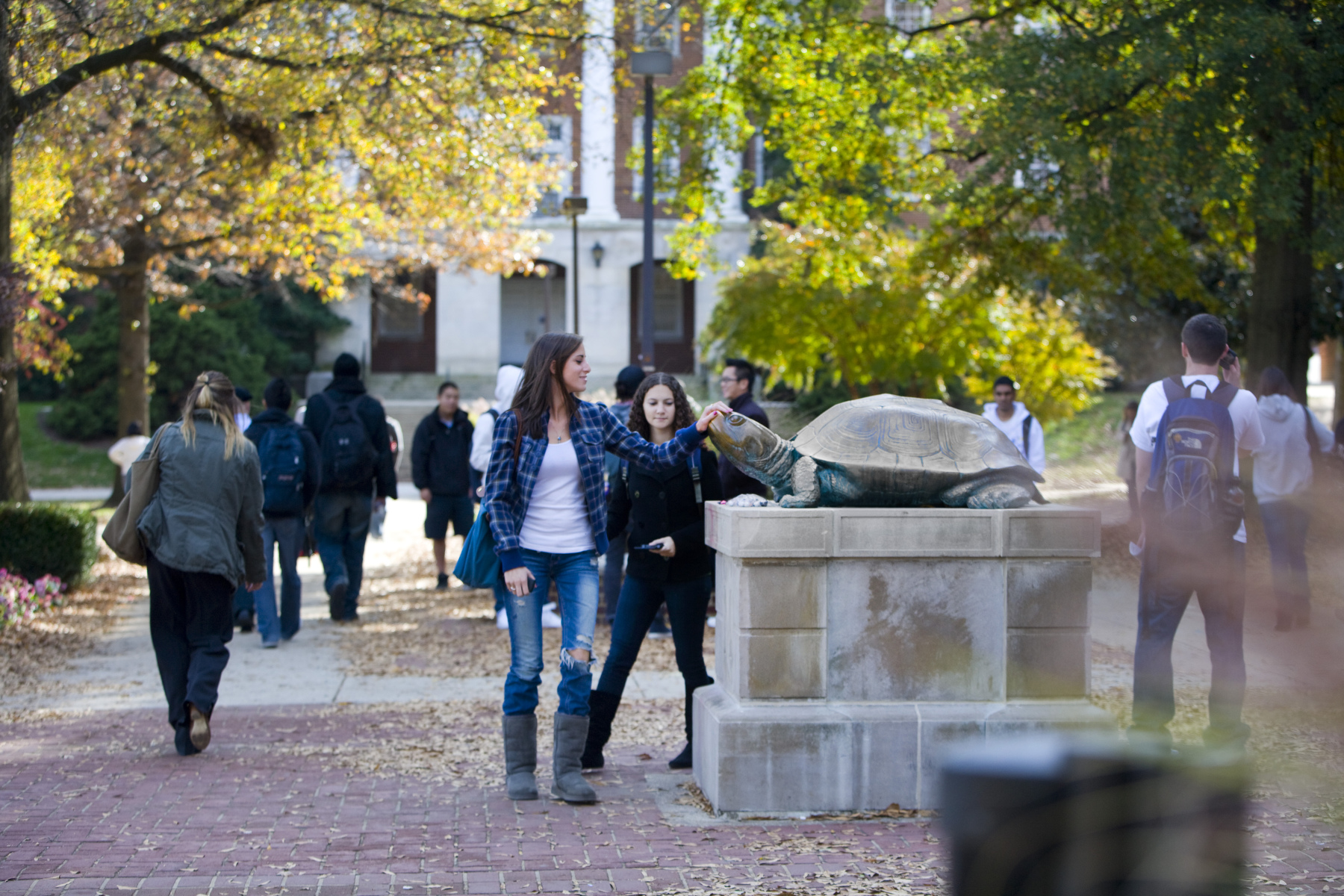 Student touches the nose of a Testudo statue for luck