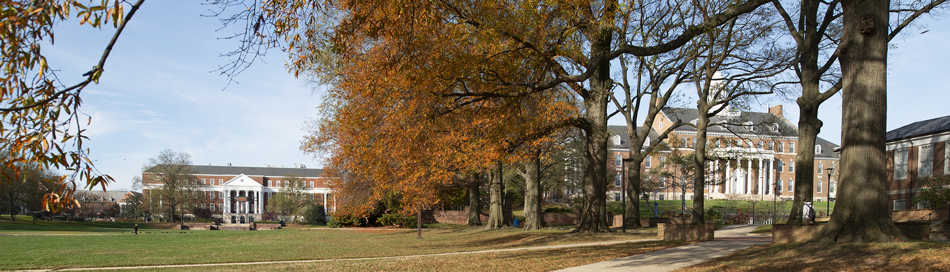 McKeldin Mall in Fall