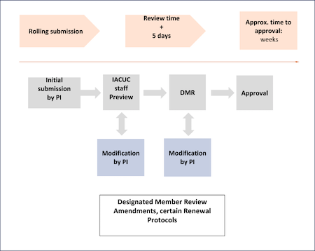 full committee review flowchart