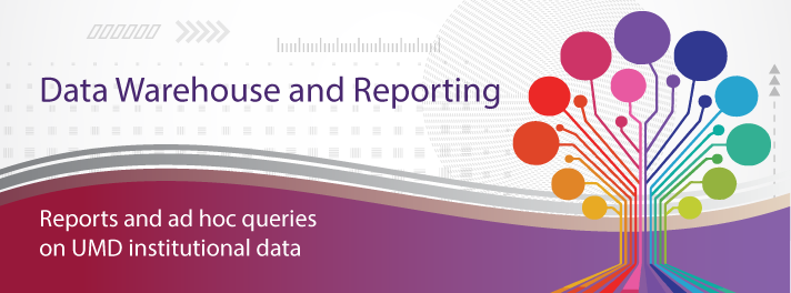 Data Warehouse and Reporting banner logo