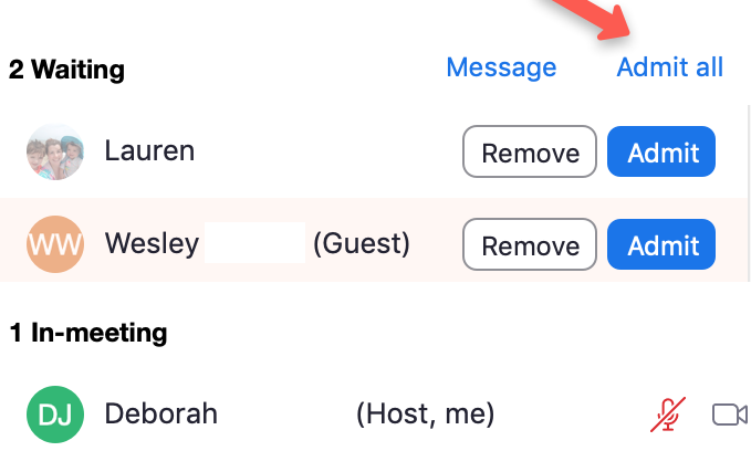 Zoom Particiapnts Window with red arrow pointing to Admit All