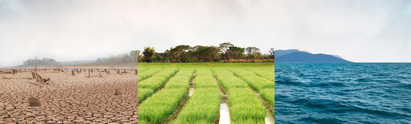 agriculture grid illustration